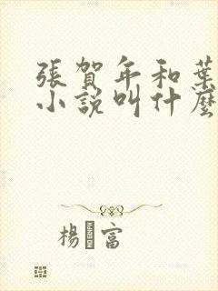 张贺年和叶繁姿小说叫什么名字