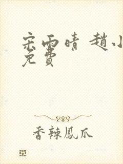 宋雨晴 赵小刚免费