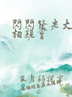 闪闪发光大团圆相亲会