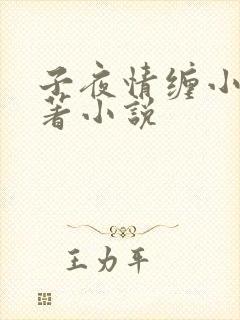 子夜情缠小说原著小说