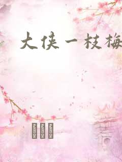 大侠一枝梅