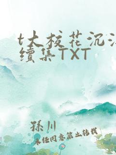 t大校花沉浮录续集TXT