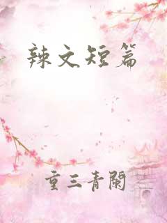 辣文短篇