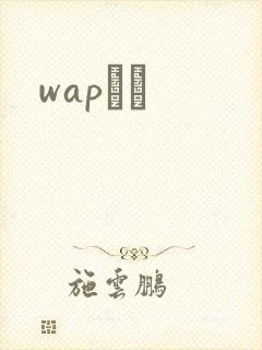 wapС˵
