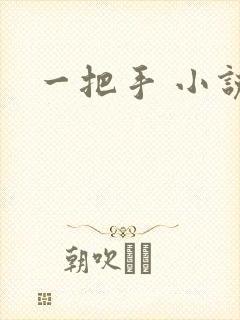 一把手 小说