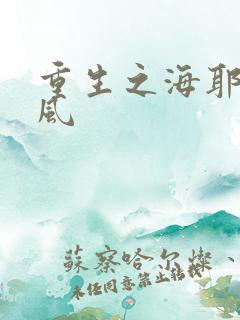 重生之海耶斯旋风