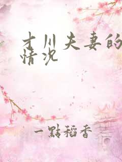 才川夫妻的恋爱情况