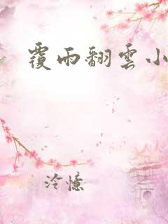 覆雨翻云小说