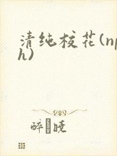 清纯校花(nph)