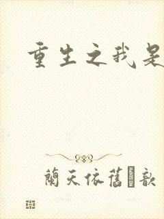 重生之我是战机