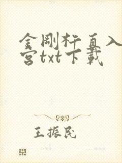 金刚杵直入莲花宫txt下载