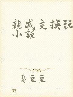 亲戚交换玩美妇小说