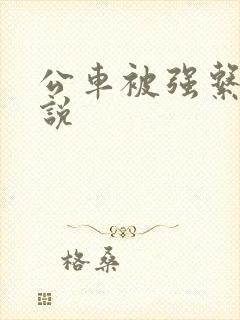 公车被强系列小说