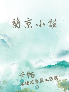 兰京小说
