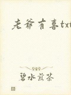 老爷有喜txt