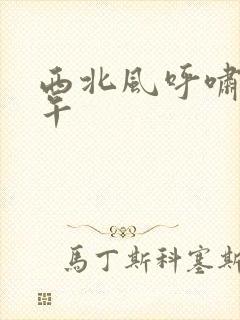 西北风呼啸的中午