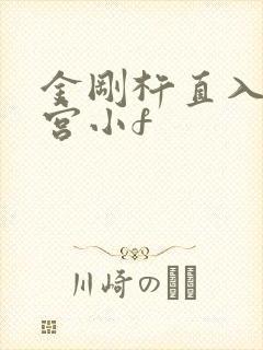 金刚杵直入莲花宫小f