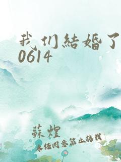 我们结婚了130614
