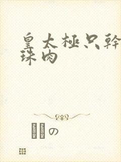 皇太极只干海兰珠肉