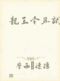 龙王令且试天下