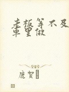 老板等不及了在车里做