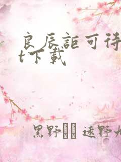 良辰讵可待txt下载