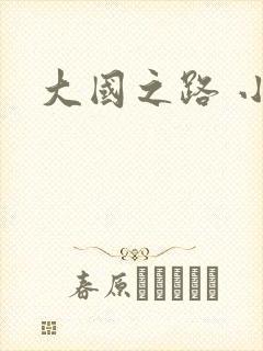 大国之路 小说