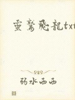灵鹫飞龙txt