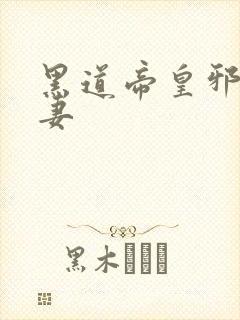 黑道帝皇邪帝冷妻