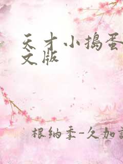 天才小捣蛋2中文版