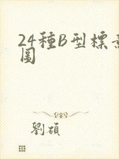 24种B型标意图