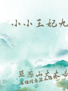 小小王妃九岁半
