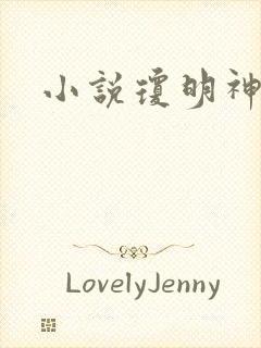 小说琼明神女录