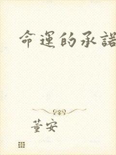 命运的承诺下载