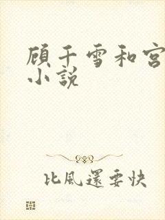 顾千雪和宫凌沨小说