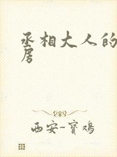 丞相大人的小通房