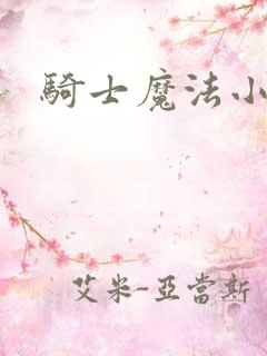 骑士魔法小说
