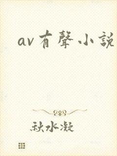 av有声小说