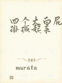 四个大白屁股并排撅起来