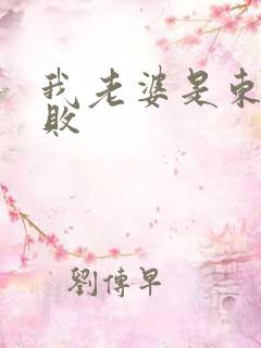 我老婆是东方不败