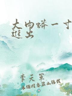 大肉蟒一寸一寸进出