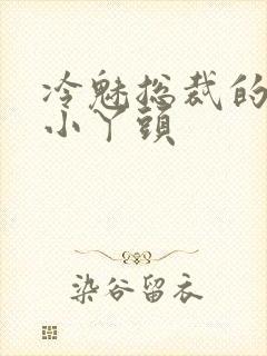 冷魅总裁的纯纯小丫头