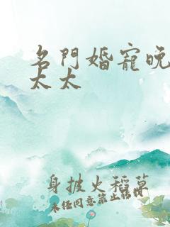 名门婚宠晚安赫太太