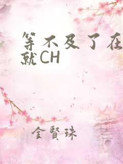 等不及了在车里就CH