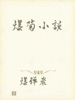爆菊小说