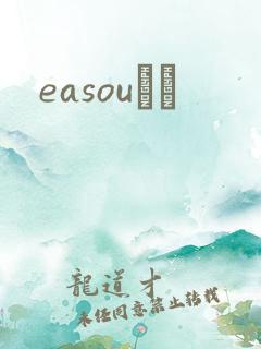 easouС˵