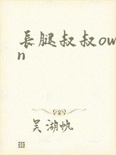 长腿叔叔owen