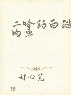二哈的白猫师尊肉车