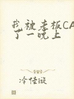 我被老板CAO了一晚上