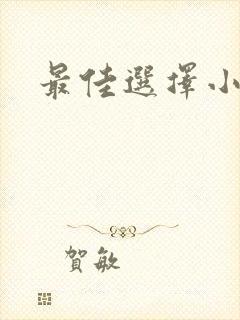 最佳选择小说